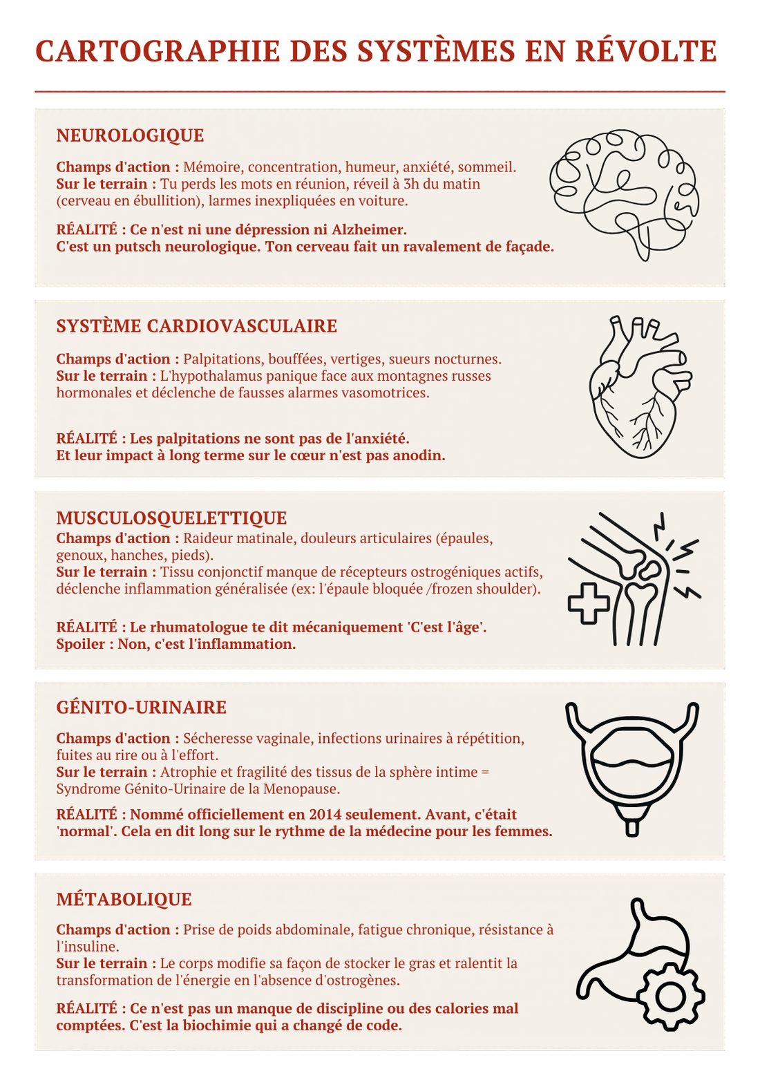 Infographie listant cinq systèmes du corps en révolte pendant la périménopause : neurologique, cardiovasculaire, musculosquelettique, génito-urinaire, métabolique